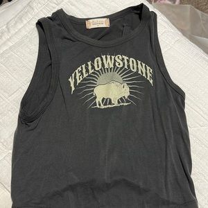 Grey altard state crop top